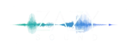 Zazy Logo